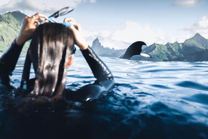 Swimming with Whales in Moorea (Half Day tour) - Why this Moorea whale trip feels different