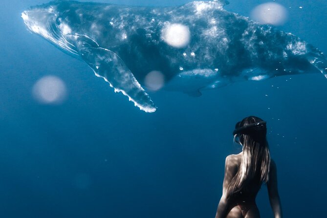Swimming with Whales in Moorea (Half Day tour) - A small boat, a small group, and personal attention