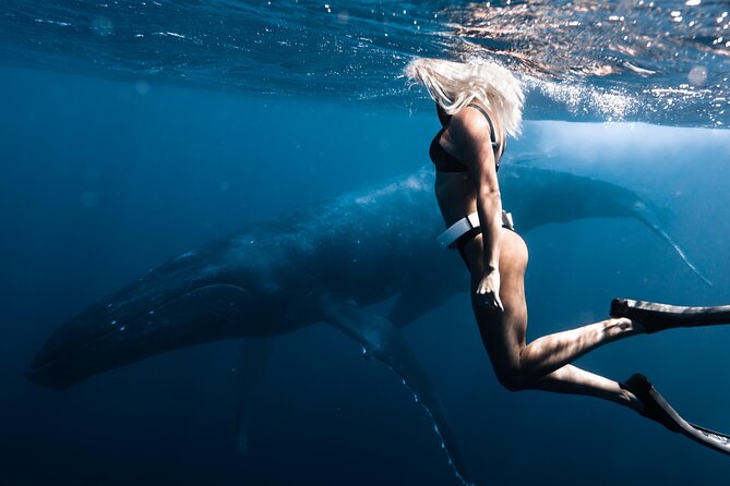 Swimming with Whales in Moorea (Half Day tour) - How the crew handles whale welfare