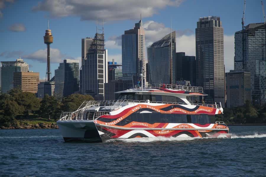 Sydney: 2-hour Express Whale Watching Cruise - Is $63 good value for this Sydney cruise?