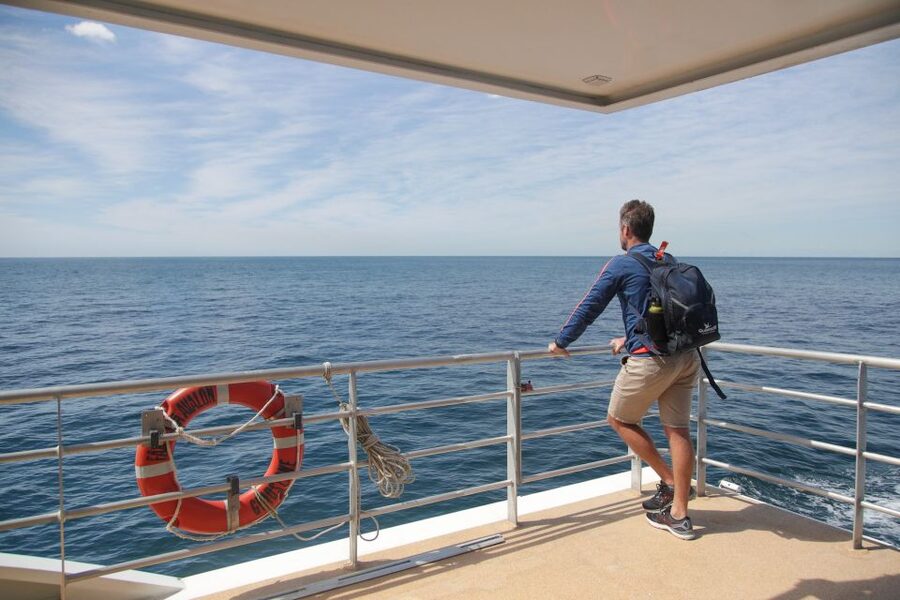 Sydney: Discovery Whale Watching Tour by Catamaran - Rough water and sea-sickness