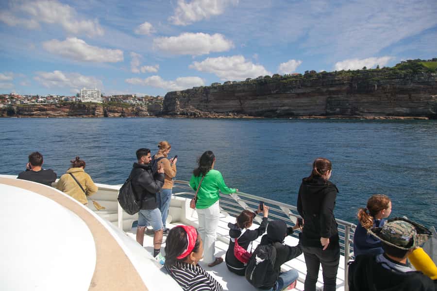 Sydney: Discovery Whale Watching Tour by Catamaran - Complimentary drinks and the photographer