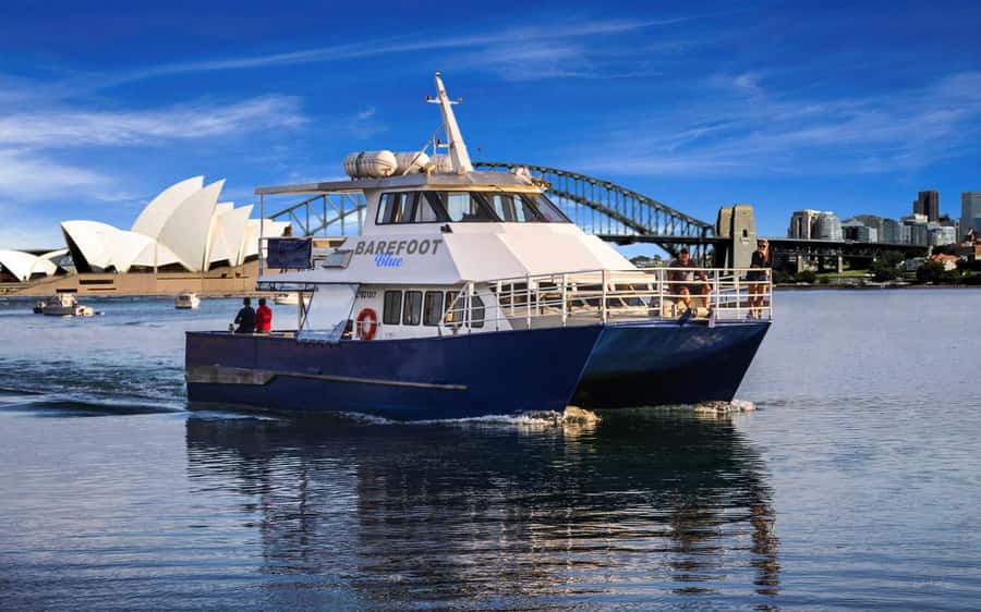 Sydney: Scenic Whale Watching Cruise - Whales Guaranteed - A stable catamaran, with a few comfort limits