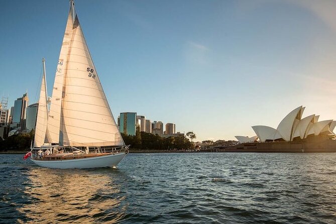 Sydney Whale Watching - 2.5hr Discovery Cruise - The value of the $57.63 fare