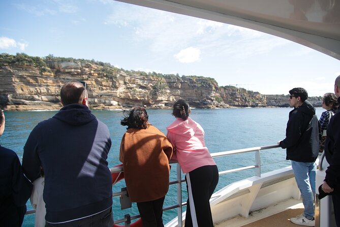 Sydney Whale Watching - 2.5hr Discovery Cruise - What a good day can look like