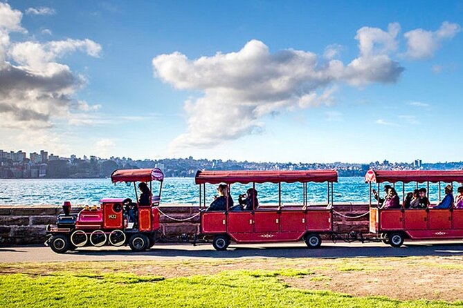 Sydney: Whale Watching Adventure Cruise - Who should book this cruise?