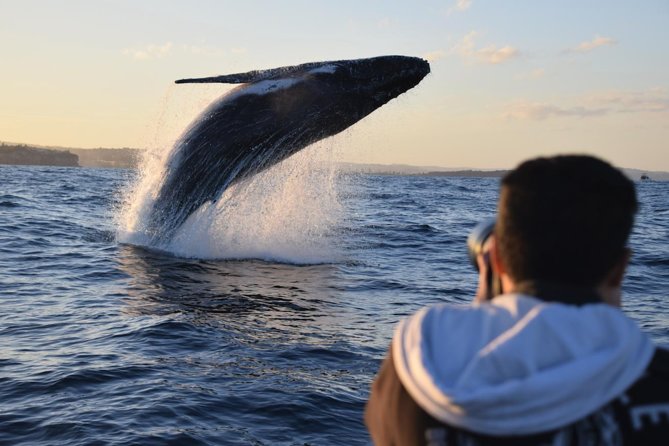 Sydney Whale-Watching by Speed Boat - Leaving the harbor for the Tasman Sea