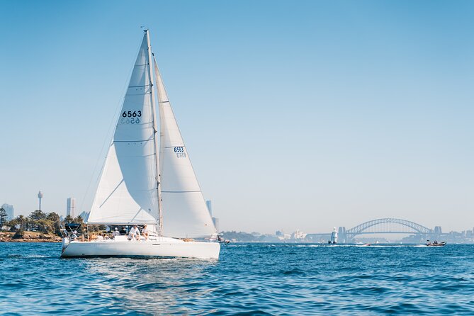 Sydney Whale Watching Cruise from Circular Quay - Live commentary and crew service
