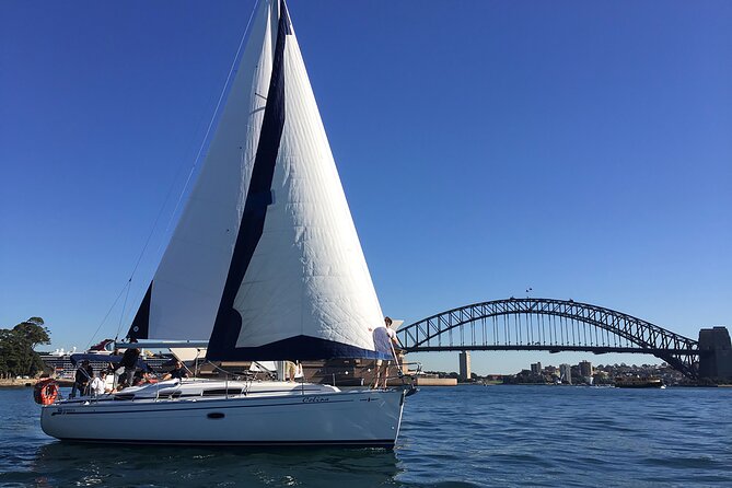 Sydney Whale Watching Cruise from Circular Quay - Making the most of your whale sighting