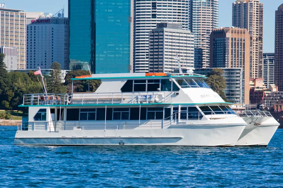 Sydney Whale Watching Cruise with Breakfast or Lunch - Four hours with the crew and the sea