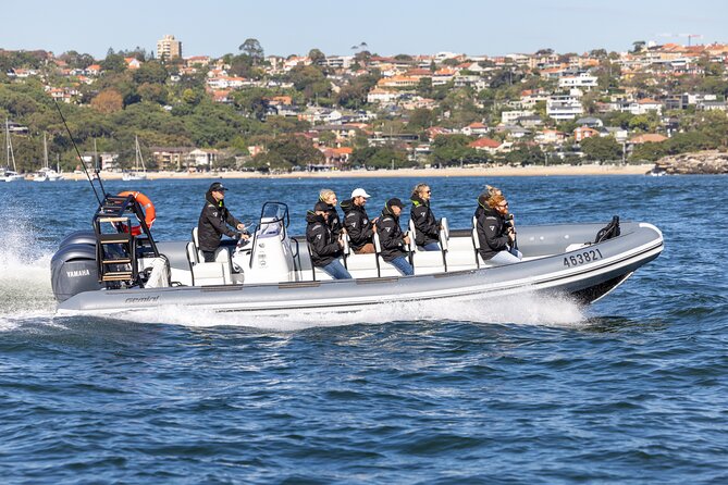 Sydney Whale Watching on Small RIB - Key points to know before booking