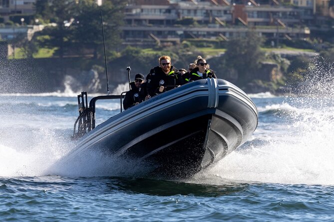 Sydney Whale Watching on Small RIB - Why this small RIB changes the Sydney whale-watching experience