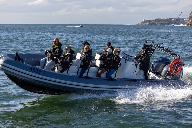 Sydney Whale Watching on Small RIB - Spending about 85 minutes searching for humpback whales
