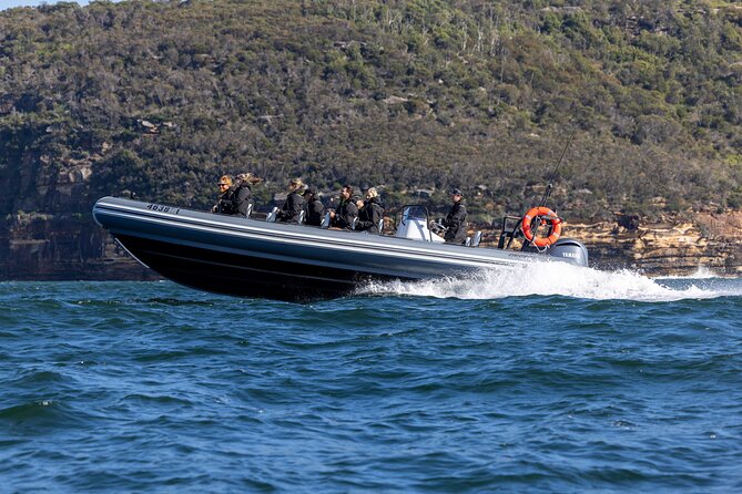 Sydney Whale Watching on Small RIB - The return ride turns the harbor into a finale