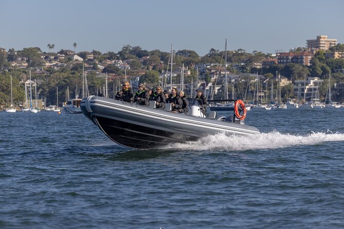 Sydney Whale Watching on Small RIB - What the crew adds to the trip