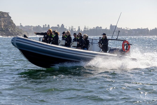 Sydney Whale Watching on Small RIB - Who should book this trip?