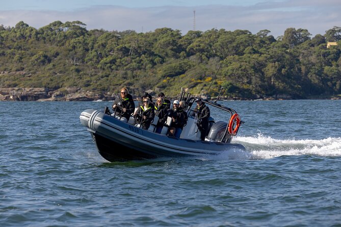 Sydney Whale Watching on Small RIB - Passing Sydney Heads after only 15 minutes