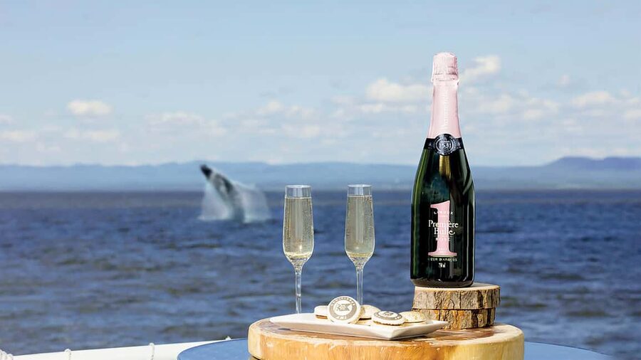 Tadoussac/Charlevoix: VIP Lounge OR UpperDeck Whale Watching - At a glance