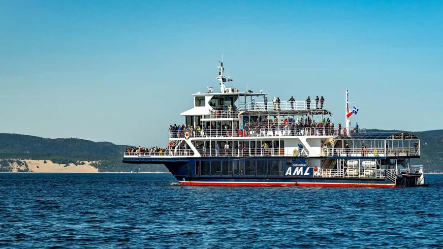 Tadoussac/Charlevoix: VIP Lounge OR UpperDeck Whale Watching - Guides, commentary, and onboard comfort