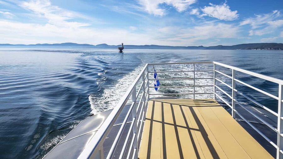 Tadoussac/Charlevoix: VIP Lounge OR UpperDeck Whale Watching - Who should book this cruise?