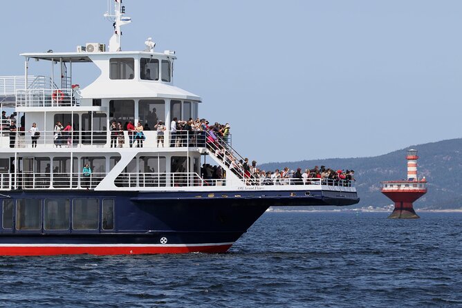 Tadoussac/Charlevoix: Whale Watching Tour - Choosing the Zodiac for closer views