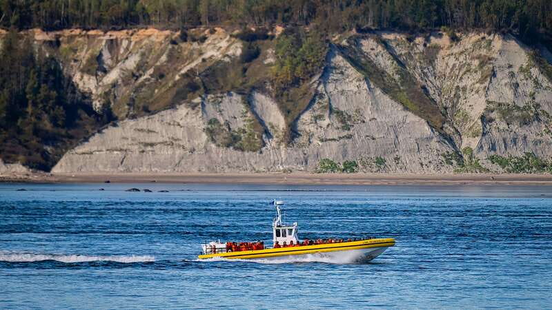 Tadoussac/Charlevoix: Whale Watching Tour & Bear Observation - The Ferme 5 Étoiles animal sanctuary