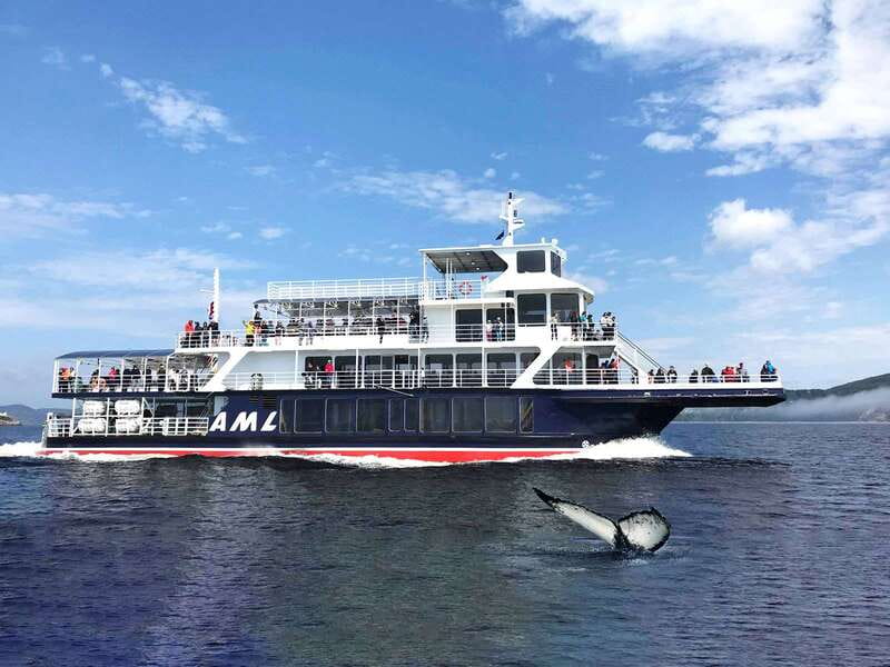 Tadoussac/Charlevoix: Whale Watching Tour & Bear Observation - What to wear and bring