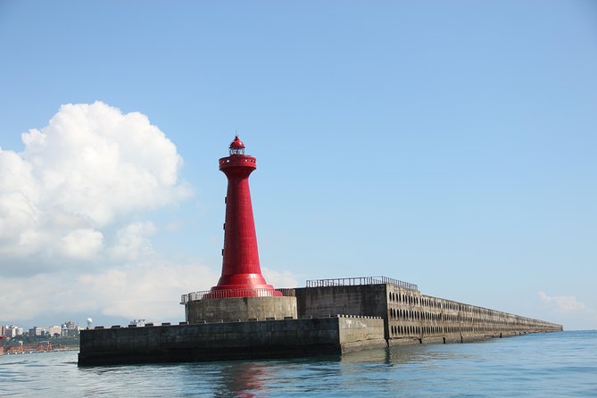 Taiwan Hualien Whale Watching Dolphin - Who will get the most from this trip