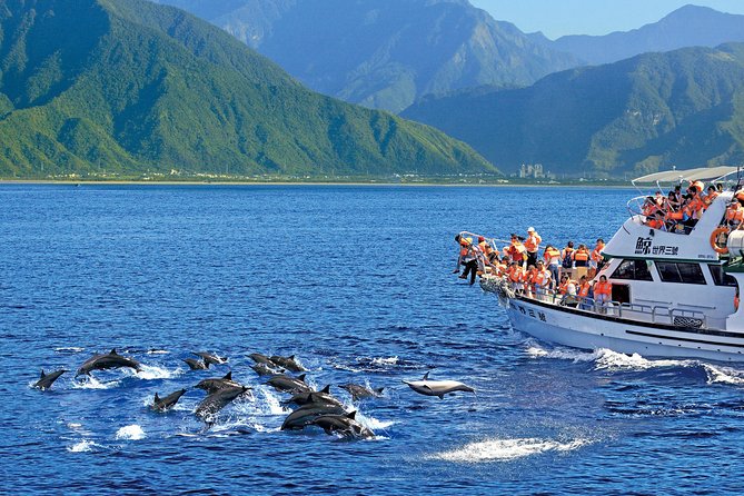 Taiwan Hualien Whale Watching Dolphin - Weather, cancellations, and practical planning
