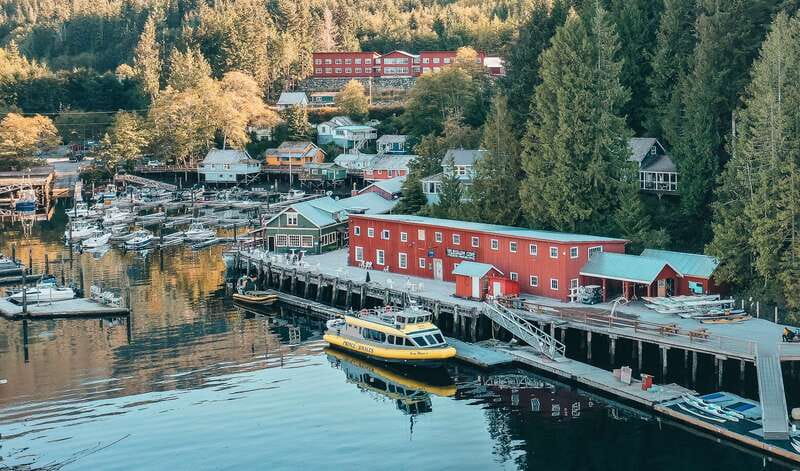 Telegraph Cove: 3-Hour Whale Watching Tour in a Zodiac Boat - Key points to know before you book