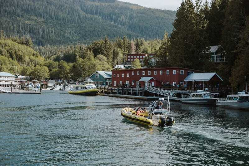 Telegraph Cove: 3-Hour Whale Watching Tour in a Zodiac Boat - Who will enjoy this Zodiac trip most?