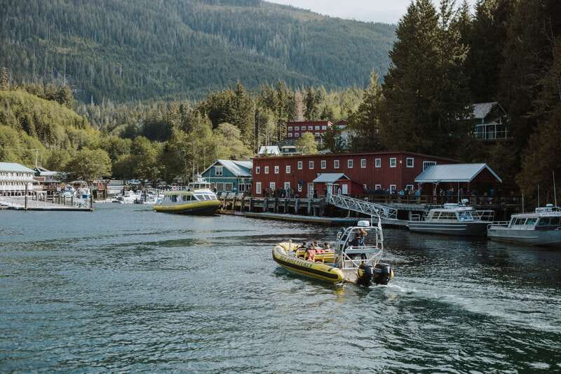 Telegraph Cove: 3-Hour Whale Watching Tour in a Zodiac Boat - Leaving Telegraph Cove in a 12-person Zodiac