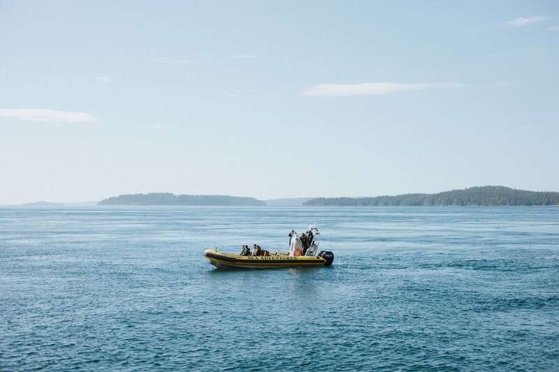 Telegraph Cove: 3-Hour Whale Watching Tour in a Zodiac Boat - Photography, distance, and realistic expectations