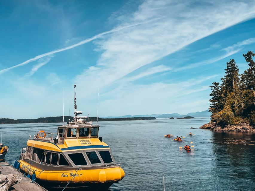 Telegraph Cove: Whale Watching Adventure with Free Photos - Free photos are useful, with one caution