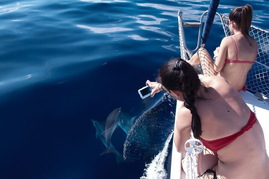 Tenerife: 3 &-6 Hour Private Whale & Dolphin Watching - The second half: coast views and slower sailing