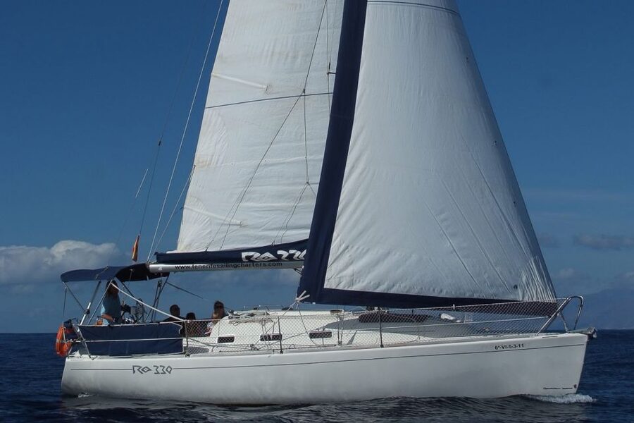 Tenerife: 3 &-6 Hour Private Whale & Dolphin Watching - Should you book it?