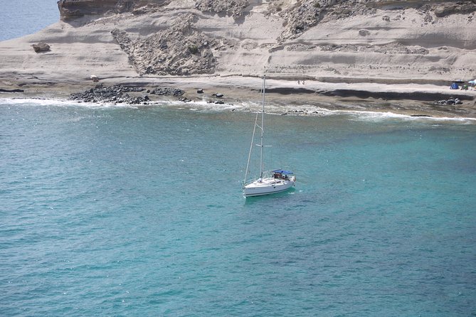 Tenerife 3-Hour Discover Whales and Dolphins - At a glance