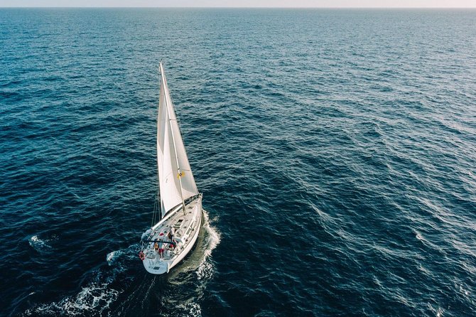 Tenerife 3-Hour Discover Whales and Dolphins - Morning or afternoon: which departure works better?