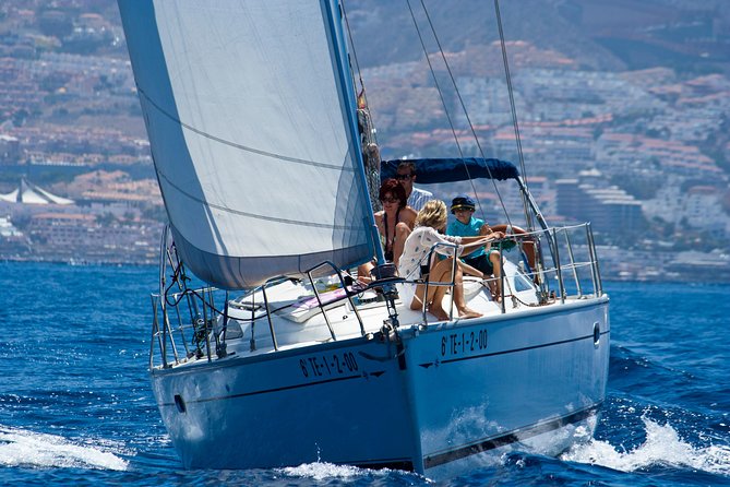 Tenerife 3-Hour Discover Whales and Dolphins - La Caleta de Adeje brings a welcome pause