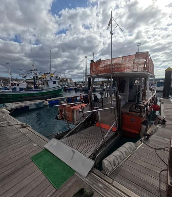 Tenerife: Accessible Whale Watching & Ocean Experience - Why this boat changes the usual Tenerife sea trip