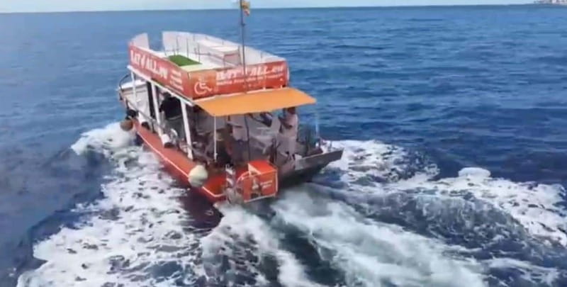 Tenerife: Accessible Whale Watching & Ocean Experience - Who will get the most from this outing