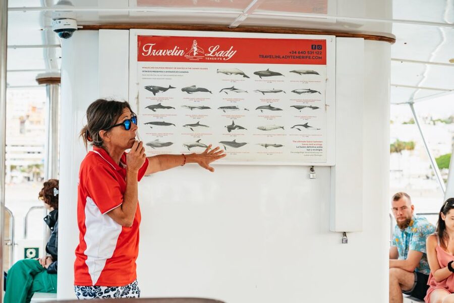 Tenerife: Eco-Yacht Whale and Dolphin Watching and Swimming - Why the Travelin Lady feels different from a standard boat trip
