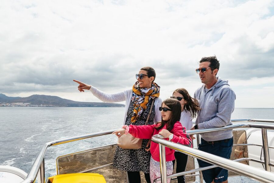 Tenerife: Eco-Yacht Whale and Dolphin Watching and Swimming - How much value do you get for $13?