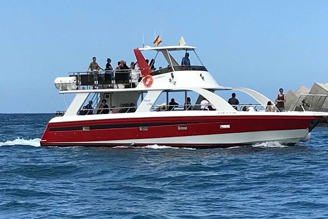 Tenerife Los Cristianos: Whale and Dolphin Eco-Yacht and Swim Stop - Choosing the best departure time