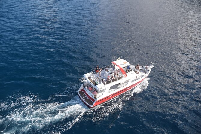Tenerife Los Cristianos: Whale and Dolphin Eco-Yacht and Swim Stop - Is $18.10 good value?