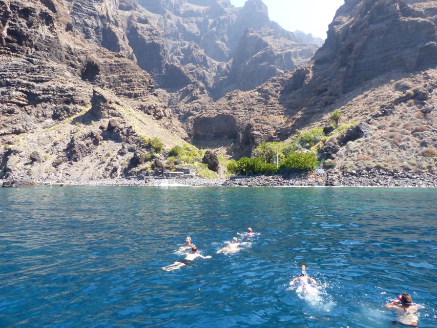 Tenerife: Los Gigantes Whale Watching Cruise by Sail Boat - Cancellation and booking flexibility