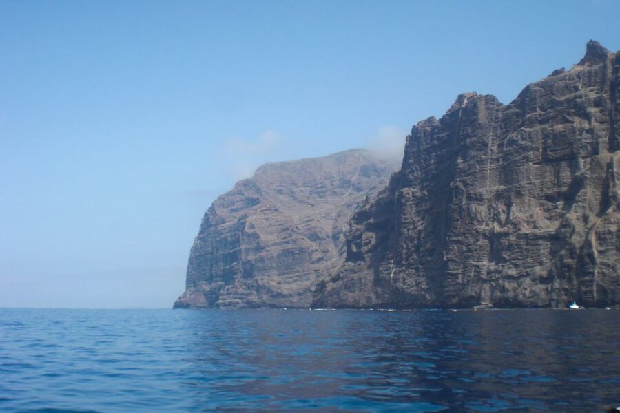 Tenerife: Luxury Private Whale & Dolphin Watching Tour - Setting Out From Puerto Colon