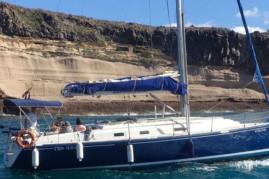 Tenerife: Luxury Private Whale & Dolphin Watching Tour - Booking Details That Matter