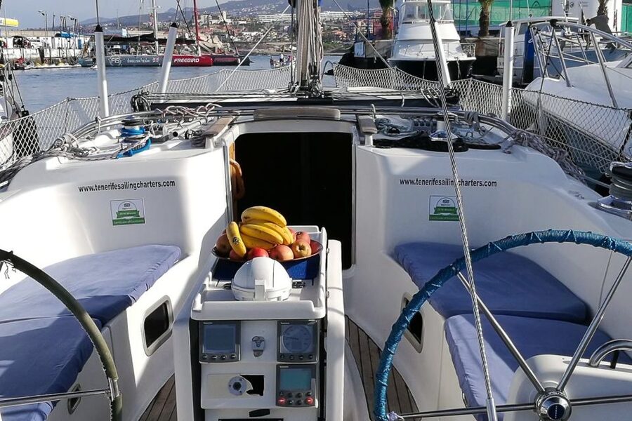 Tenerife: Luxury Private Whale & Dolphin Watching Tour - Dolphins, Turtles, and the Value of a Small Group