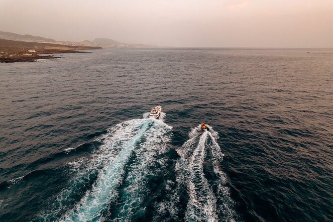 Tenerife Motor Boat Whale Watching & Snorkeling Experience - A close look at Tenerife’s southern coast